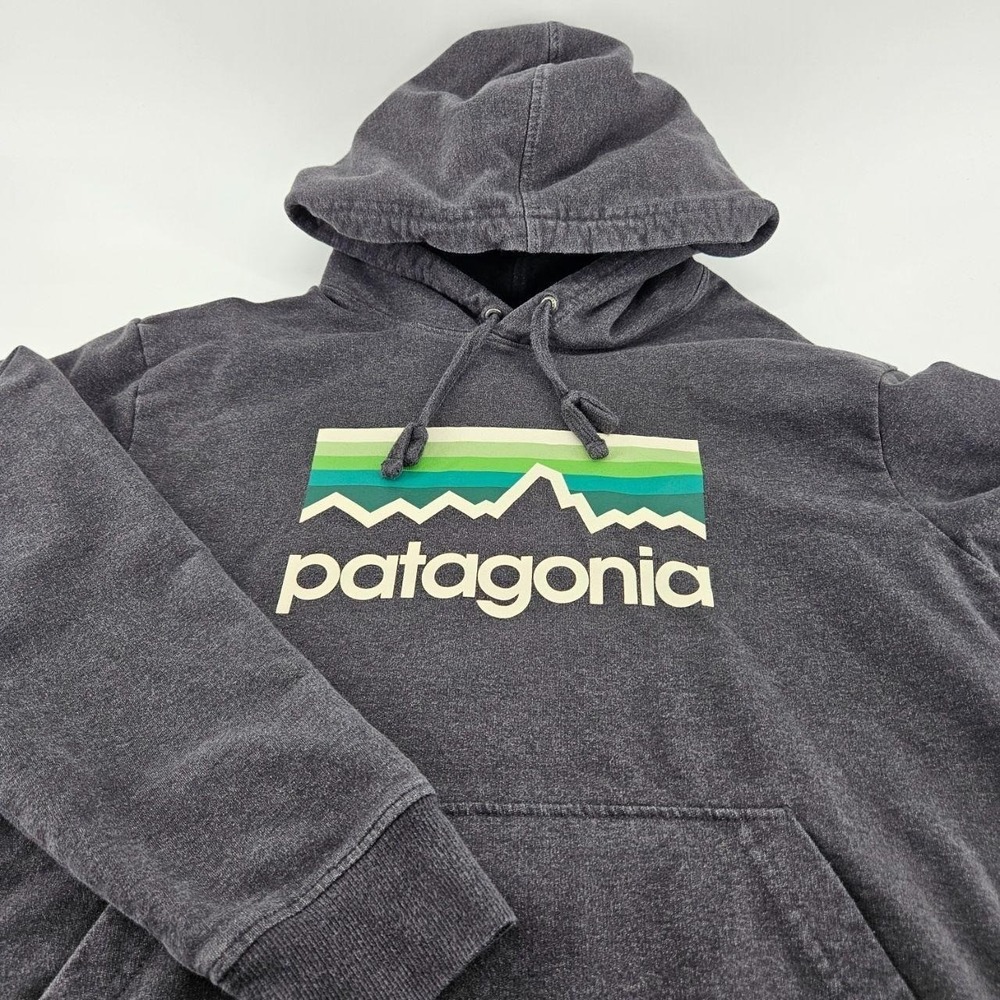 Patagonia Organic Cotton Fitz Roy Mountain Hoodie
